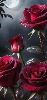 Moonlit roses against a night sky mobile wallpaper.