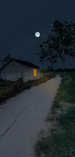 Moonlit rural path with house and glowing window at night.