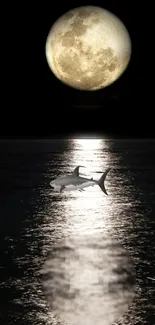 Moonlit ocean with shark silhouette under the night sky.