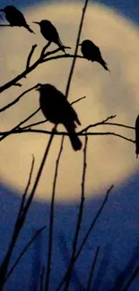 Silhouetted birds perched against a glowing full moon in a serene night sky.