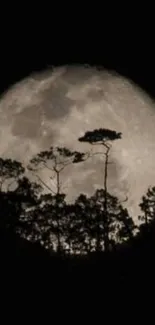 Moonlit silhouette with trees against a full moon in a dark sky.