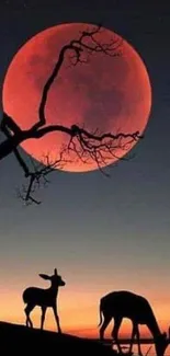 Silhouetted trees and animals with a red moon in a dark blue evening sky.