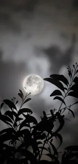 Silhouette of leaves against a moonlit sky with a glowing full moon.