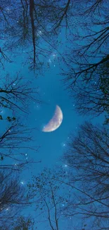 Crescent moon surrounded by starry night sky and silhouetted trees.