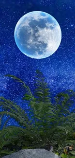 Moonlit sky with ferns and starry background in vibrant blue.