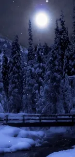 Moonlit snowy forest with bridge and trees.