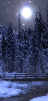 Moonlit snowy forest with bridge under starry sky.