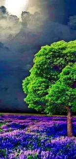 Moonlit tree and lavender field under dramatic sky.