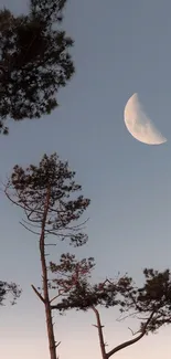 A crescent moon over silhouetted trees against a gray-blue evening sky.