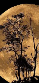 Silhouetted tree against full moon in mobile wallpaper.