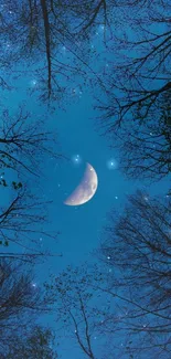 Crescent moon and trees under a deep blue sky at night.