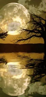 Full moon reflecting on water with silhouetted trees.