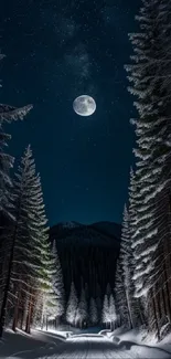 Moonlit forest path with snowy trees under a starry night sky.