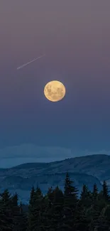 Full moon rising over mountain with trees and twilight sky backdrop.