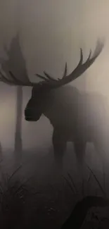 Moose silhouette in foggy forest setting with muted gray tones.