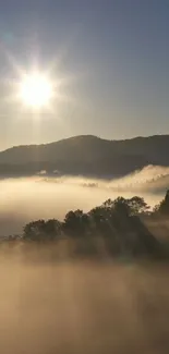 Golden sunrise over misty mountains with fog and trees.