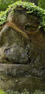 Stone face covered with lush green foliage.