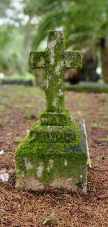 Moss-covered cross standing in tranquil forest setting.