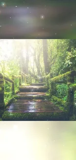 Enchanting moss-covered forest path under dappled sunlight.