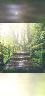 Moss-covered wooden bridge in a lush forest.