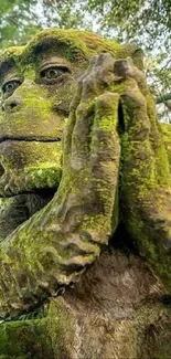 Moss-covered monkey statue in lush greenery.