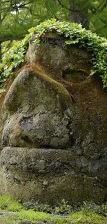 Moss-covered stone faces in a lush forest landscape.