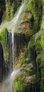 Moss-covered waterfall dripping gently over rocks.