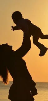 Silhouette of a mother lifting her child against a vibrant sunset.