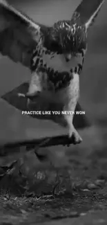 Black and white motivational bird with inspiring quote.