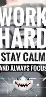 Motivational wallpaper with shark and text: 'Work Hard, Stay Calm, Always Focus'.