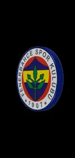 Fenerbahçe logo on a black background.