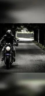 Motorbike rider on a tree-lined road, depicting adventure.