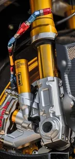 Close-up of gold motorbike suspension with intricate detailing.