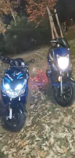 Two motorbikes illuminated against autumn leaves at night.