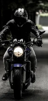 Motorcycle rider on a dark forest road wallpaper.