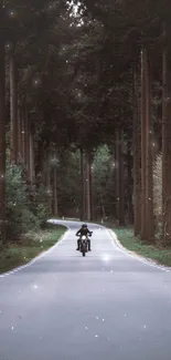 Motorcyclist travels down a forest road lined with tall trees.