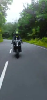 Motorcyclist on a forest-lined road with lush greenery.