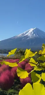 Mount Fuji with vibrant autumn foliage in the foreground.