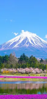 Mount Fuji with pink flowers and blue sky mobile wallpaper.