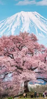 Mount Fuji and cherry blossoms under a clear blue sky.