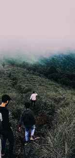 Group hiking through a misty mountain trail.