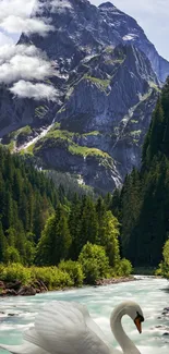 A swan floating on a river with a mountain view.