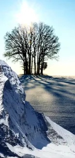 Snowy mountain and tree under bright sun and blue sky wallpaper.