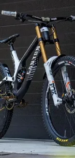 Dynamic mountain bike against a dark background.