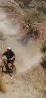 Cyclist navigating a rocky mountain trail in a dynamic wallpaper.