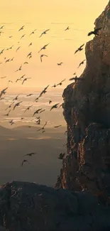 Birds fly by cliffs at sunset, with orange hues filling the sky.