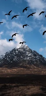 Majestic mountain with birds soaring in a blue sky, perfect for phone wallpaper.