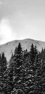 Black and white landscape with snowy mountains and trees.