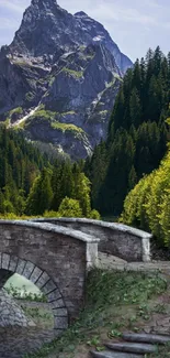 Scenic mountain view with stone bridge and lush green forest.