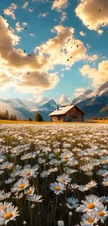 Cabin in a daisy field with mountains and a vibrant sky.